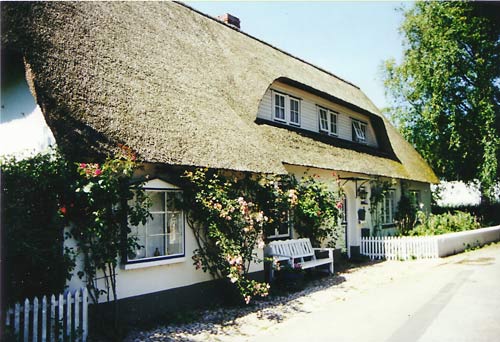 Ansicht Haus Muschel